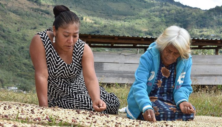 mujer zapoteca